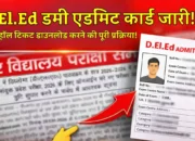 प्राथमिक शिक्षक बनने के लिए D.EL.ED डमी एडमिट कार्ड जारी! जानें हॉल टिकट डाउनलोड करने की पूरी प्रक्रिया!